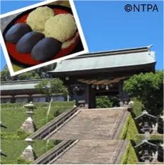 Suwa shrine 